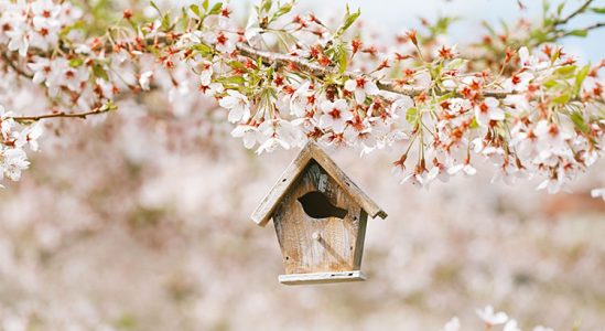 Data Says April is the Best Month to List Your Home for Sale | Simplifying The Market