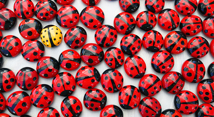 Buying This Summer? Be Prepared for Bidding Wars | Simplifying The Market