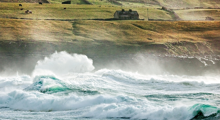Housing Will Not Fall Victim to Next Economic Storm | Simplifying The Market