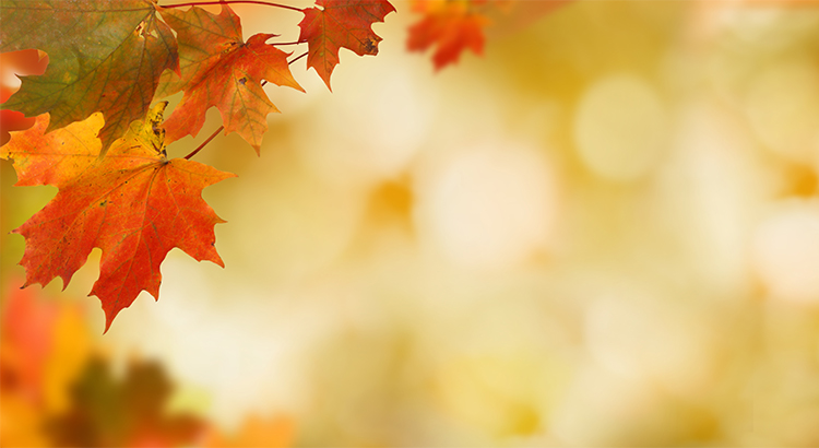 4 Reasons to Sell This Fall [INFOGRAPHIC] | Simplifying The Market