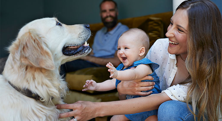 Top 4 REAL Reasons We Buy A Home | Simplifying The Market