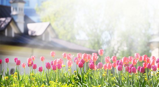 The Housing Market Will “Spring Forward” This Year! | Simplifying The Market